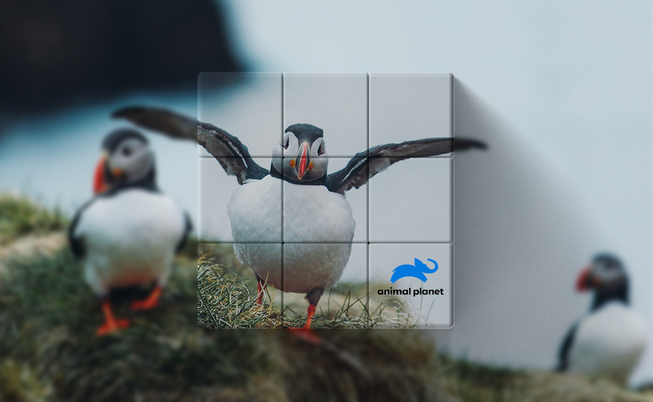 Blox - Gepersonaliseerde promotie Magische kubussen gallery thumbnail