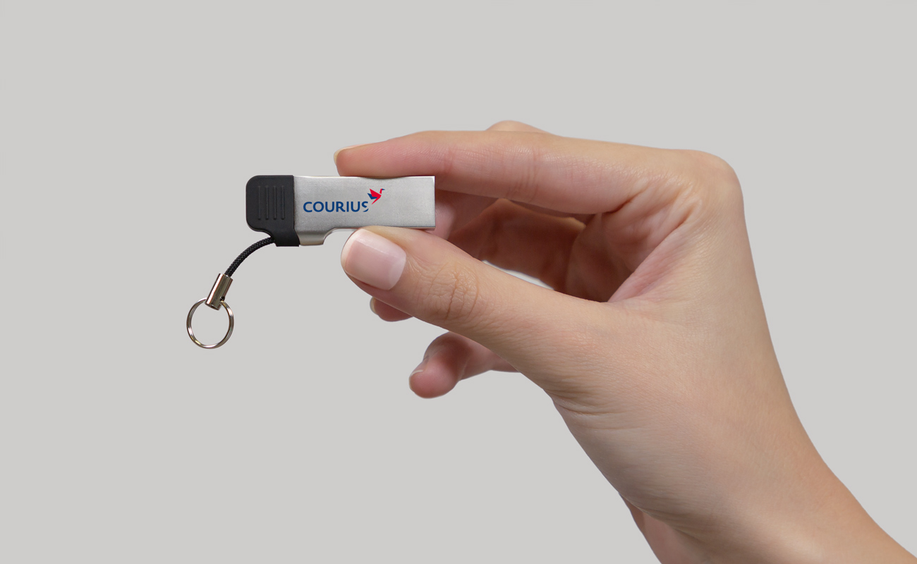 Lynx - Bedrukte USB Stick met USB-C gallery thumbnail