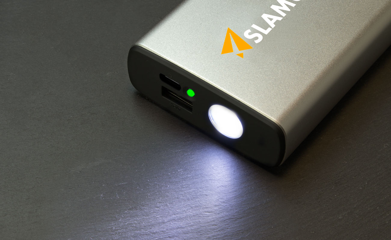 Rex - Powerbanks Bedrukken gallery thumbnail