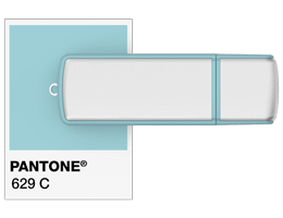 Pantone® Referentie USB stick