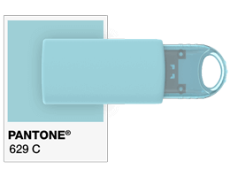Pantone® Referentie USB stick