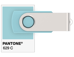 Pantone® Referentie USB stick